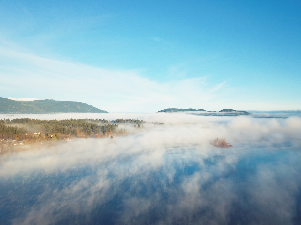 Art Mann Park | 5990 Indian Rd, Duncan, BC V9L 5L9, Canada