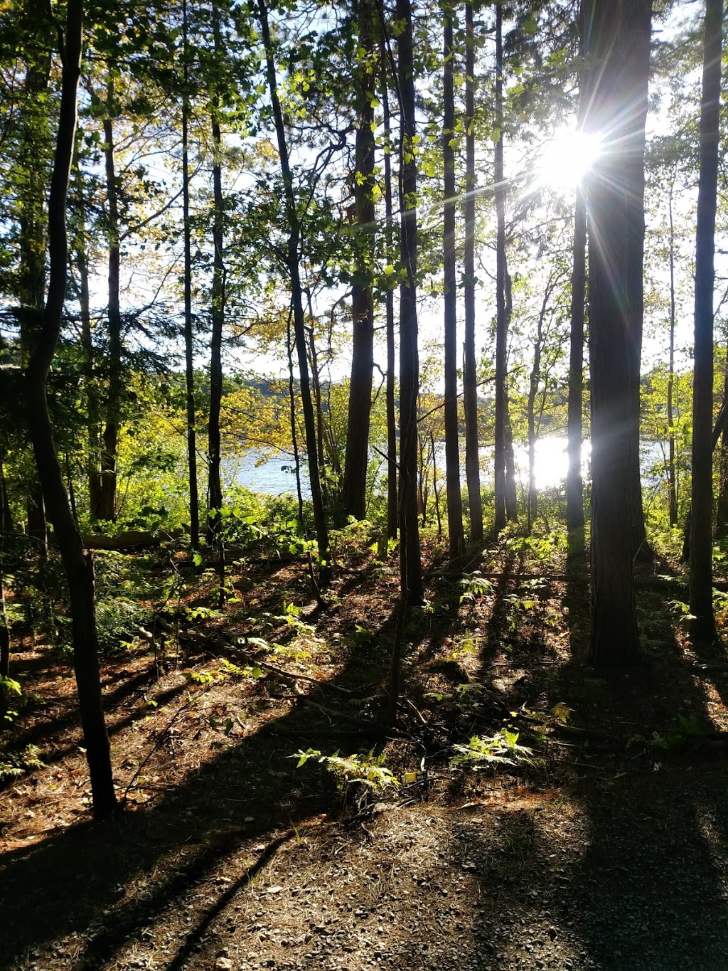 Miller Point Peace Park | 13905 Nova Scotia Trunk 3, Dayspring, NS B4V 5P6, Canada | Phone: (902) 541-1343