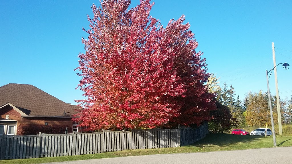 Evans Park | Aurora, ON L4G 7K2, Canada