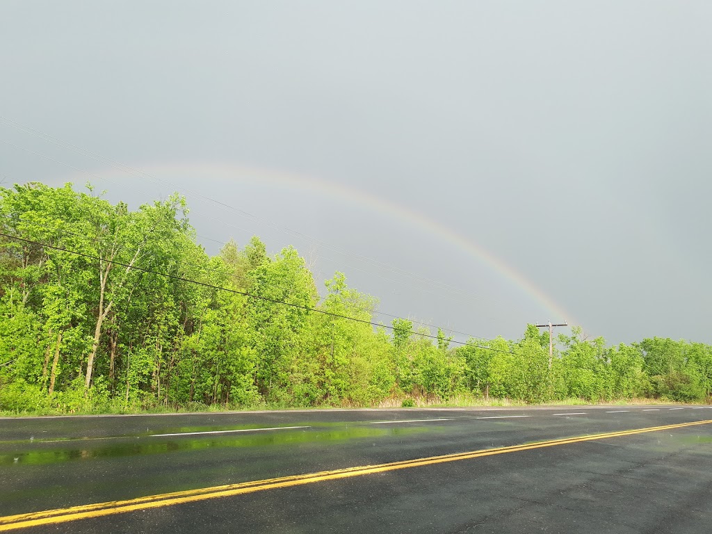 Portland Conservation Area | Quinte Conservation Lane, Verona, ON K0H 2W0, Canada | Phone: (613) 968-3434