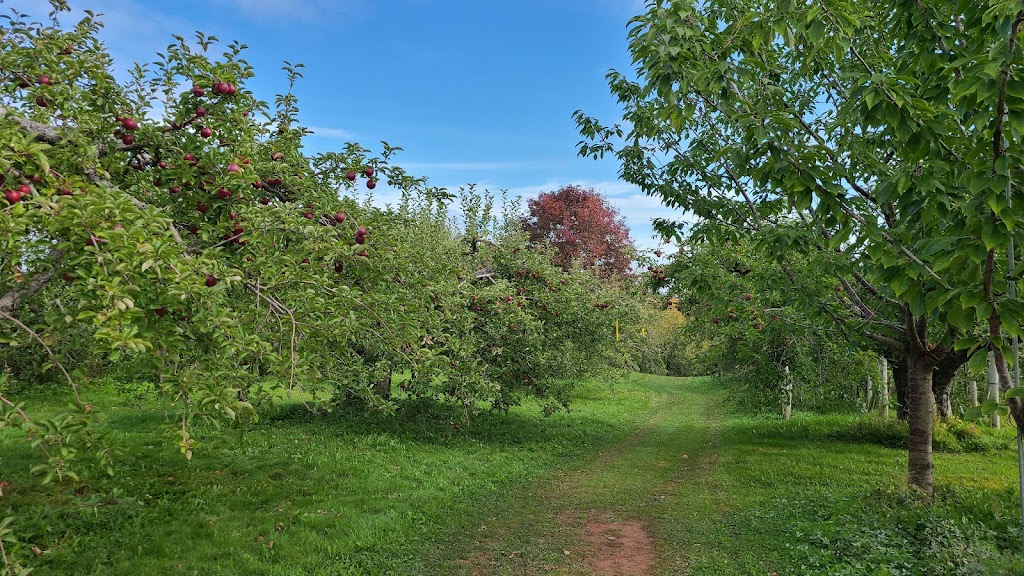 Charlottes Family Orchard | 2287 NB-102, Gagetown, NB E5M 1T5, Canada | Phone: (506) 488-2630