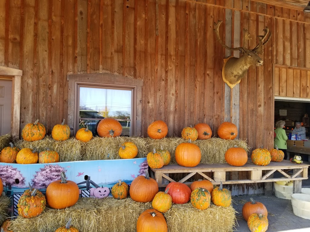 Farm Mount Bruno Inc. | 225 Rang des Vingt Cinq E, Saint-Bruno-de-Montarville, QC J3V 4P6, Canada | Phone: (450) 461-0099