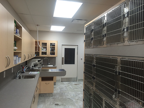 Vanier Animal Hospital | 23-C Selkirk St (Located in Eastview Plaza), Ottawa, ON K1L 6N1, Canada | Phone: (613) 748-1234