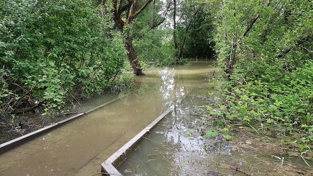 Langley municipal natural park | Langley Twp, BC V2Z 2W5, Canada