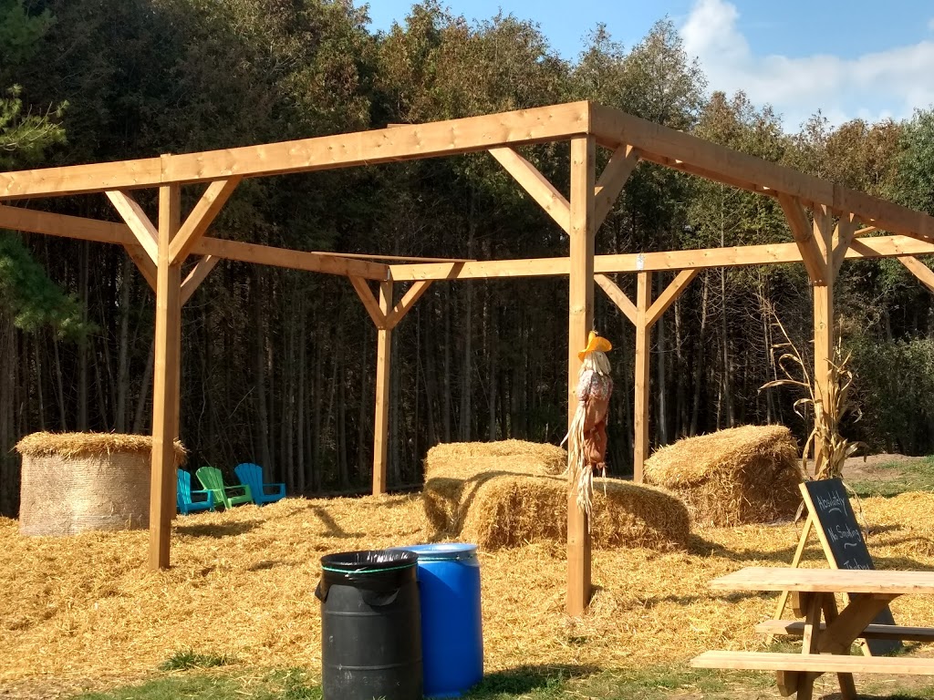 The Apple Orchard Inc. | 1668 ON-6, Hamilton, ON L8N 2Z7, Canada | Phone: (647) 456-6644
