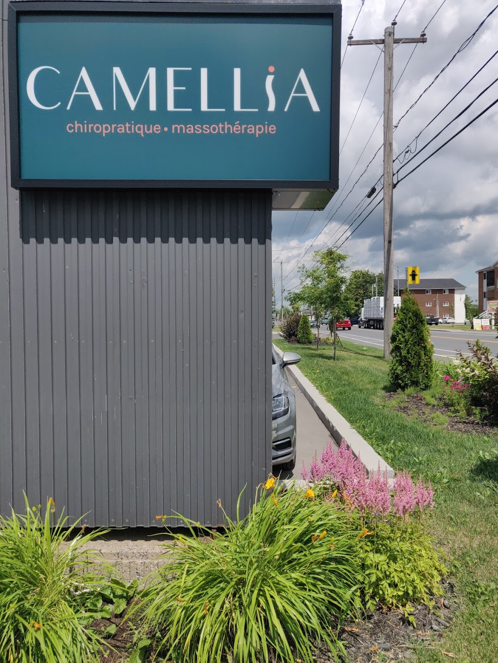 Centre de soins Camellia | 2580 Rue Saint-Pierre, Drummondville, QC J2C 7Y3, Canada | Phone: (819) 857-4464