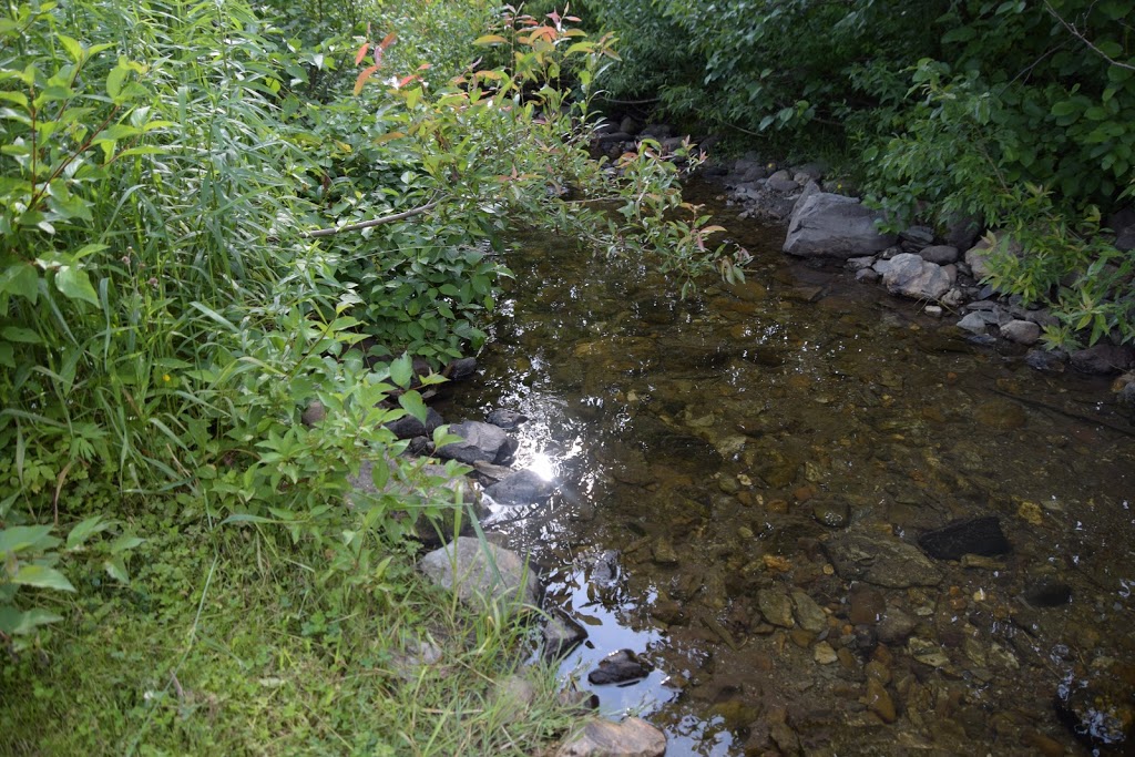 Domaine La Charmante | 142 QC-216, Saint-Paul-de-Montminy, QC G0R 3Y0, Canada | Phone: (581) 332-1029