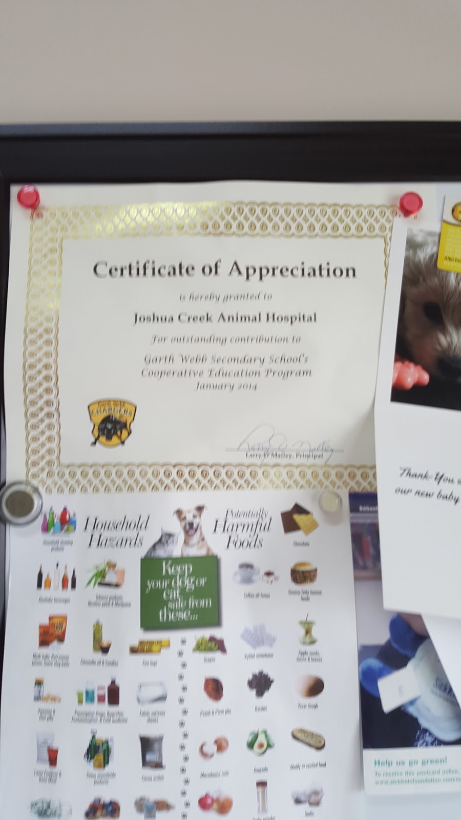 Joshua Creek Animal Hospital | 2501 Prince Michael Dr, Oakville, ON L6H 0E9, Canada | Phone: (905) 257-6630