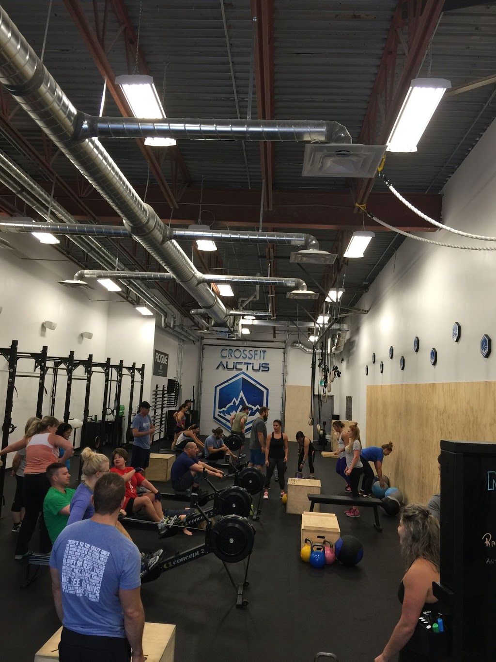 CrossFit auctus | 2091 Plessis Rd #5, Winnipeg, MB R3W 1S4, Canada | Phone: (204) 777-1044