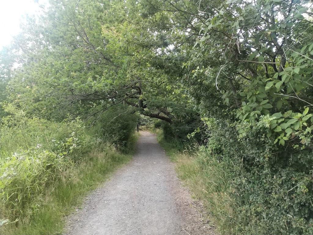 Buttertubs Marsh Park | 197 Bird Sanctuary Dr, Nanaimo, BC V9R 6G8, Canada | Phone: (250) 754-4251