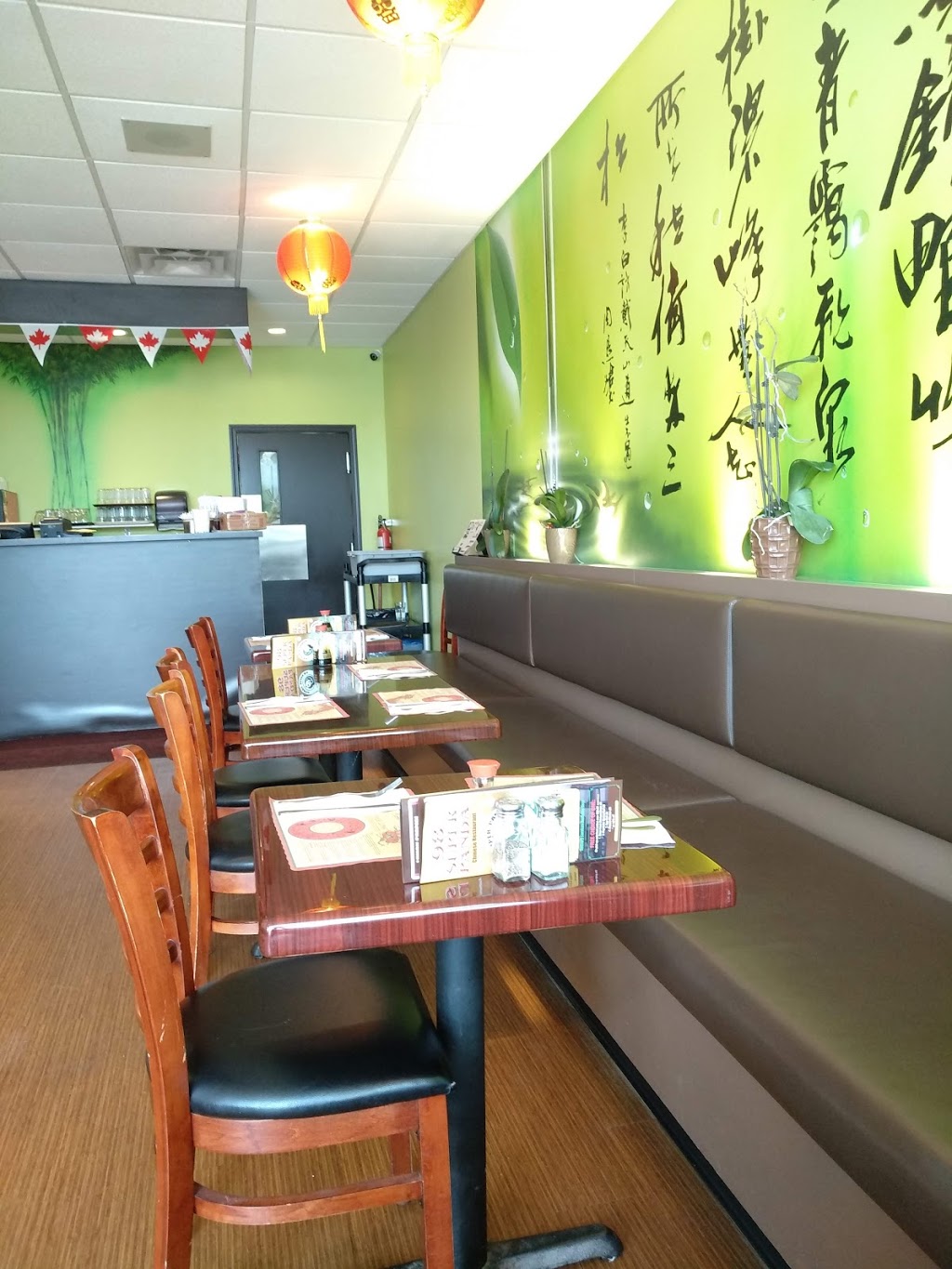 98 Super Panda Chinese Restaurant | 30 45th St S, Wasaga Beach, ON L9Z 0A6, Canada | Phone: (705) 429-9098