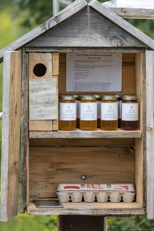 Ranch des sabots et des ailes | 800 Chem. de la Station, Saint-Boniface, QC G0X 2L0, Canada | Phone: (819) 698-9863