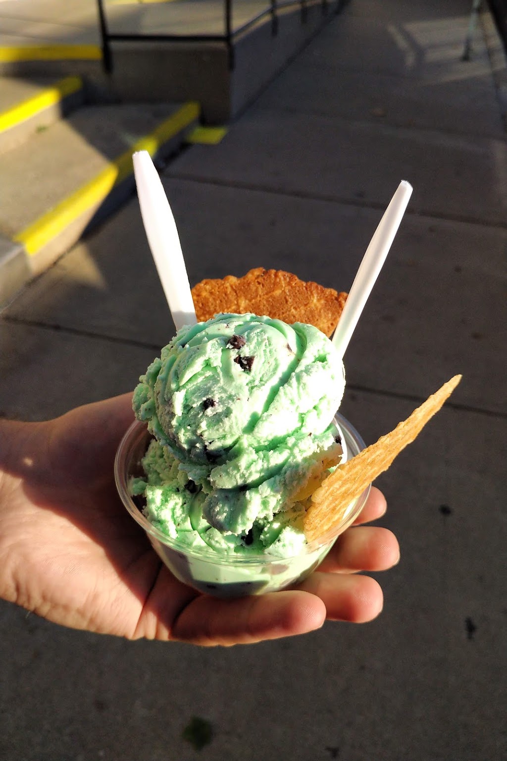 Twins Ice Cream Parlour | 1028 Main, Port Rowan, ON N0E 1M0, Canada | Phone: (519) 586-7994