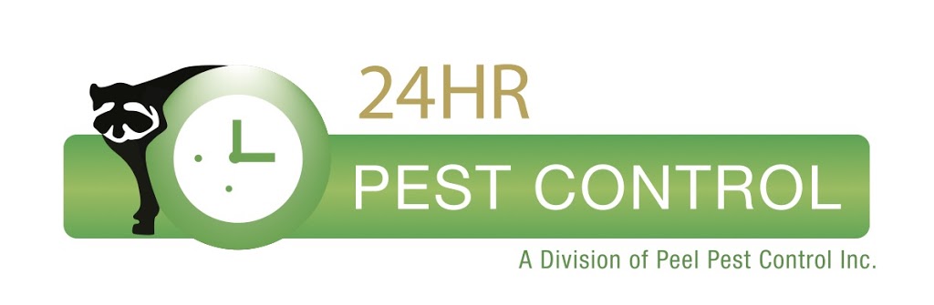 24HR Pest Control - (A Divison of Peel Pest Control Inc) | 3095 Wolfedale Rd, Mississauga, ON L5C 1V8, Canada | Phone: (416) 477-1302