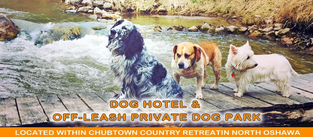 Oshawa Dog Club | 3015 Ritson Rd N, Oshawa, ON L1H 0P7, Canada | Phone: (289) 645-4040