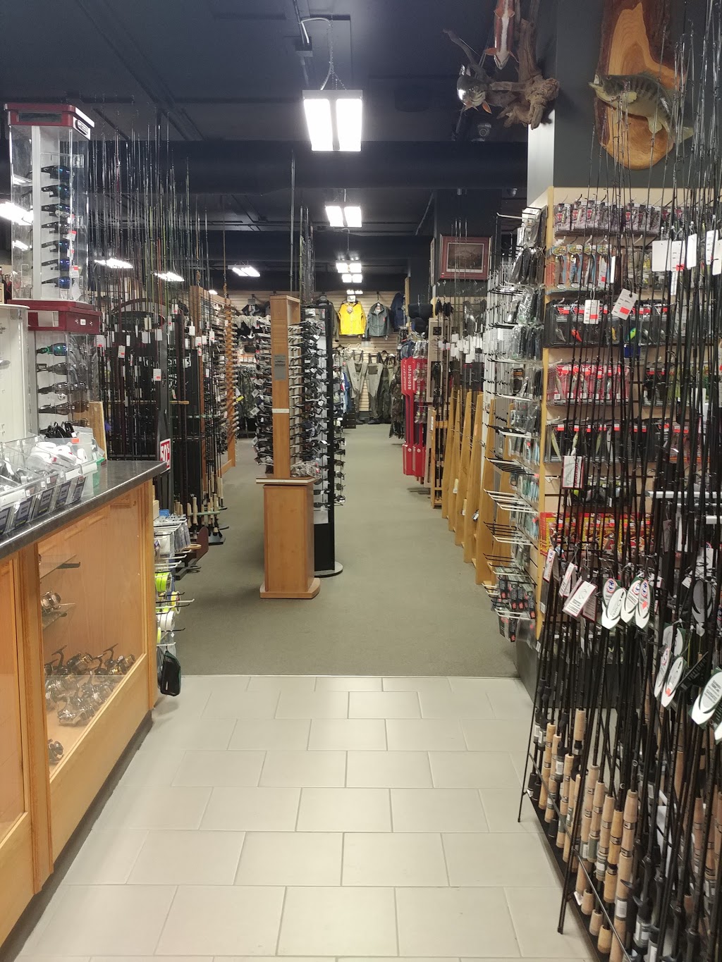 Angling Sports | 681 Highbury Ave N, London, ON N5W 4L4, Canada | Phone: (519) 649-7429