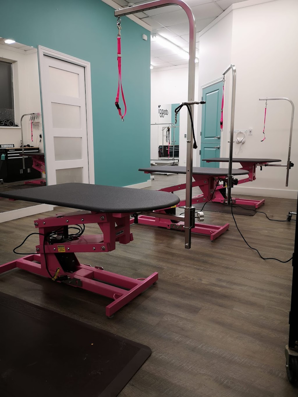 Doggie Detailing | 391 Dundas St W #1, Trenton, ON K8V 5S4, Canada | Phone: (613) 394-5757