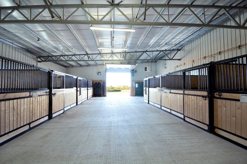 Prairie Mountain Ranch | 3245 Township Rd 292, Madden, AB T0M 1L0, Canada | Phone: (403) 946-0430