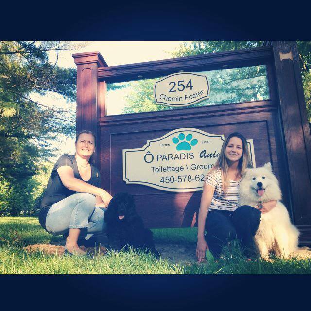 Ô Paradis Animal | 254 Chem. Foster, Bolton-Ouest, QC J0E 2T0, Canada | Phone: (450) 578-6248