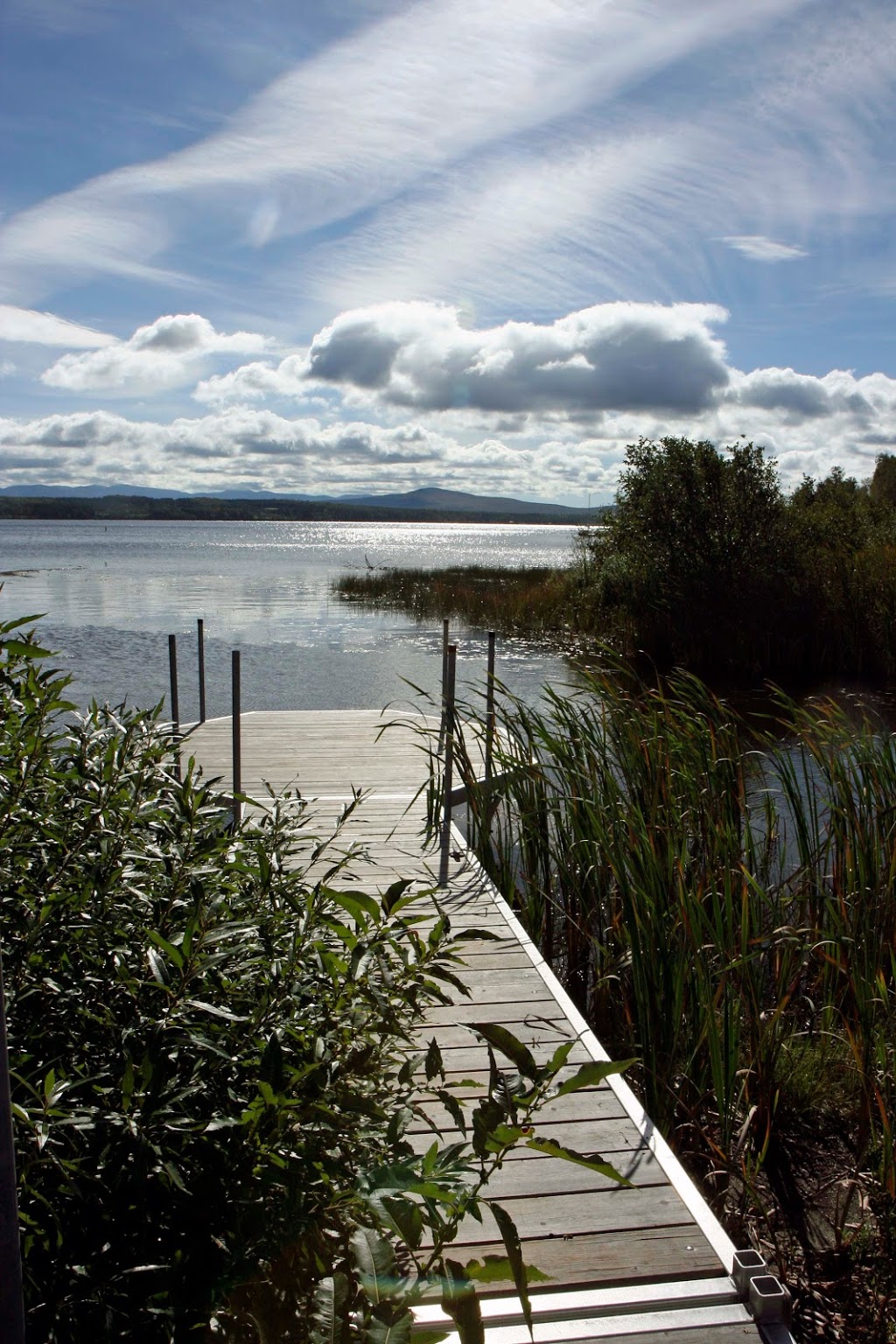 Refuge du héron | 101 Chemin de la Plage, Piopolis, QC G0Y 1H0, Canada | Phone: (819) 582-2346