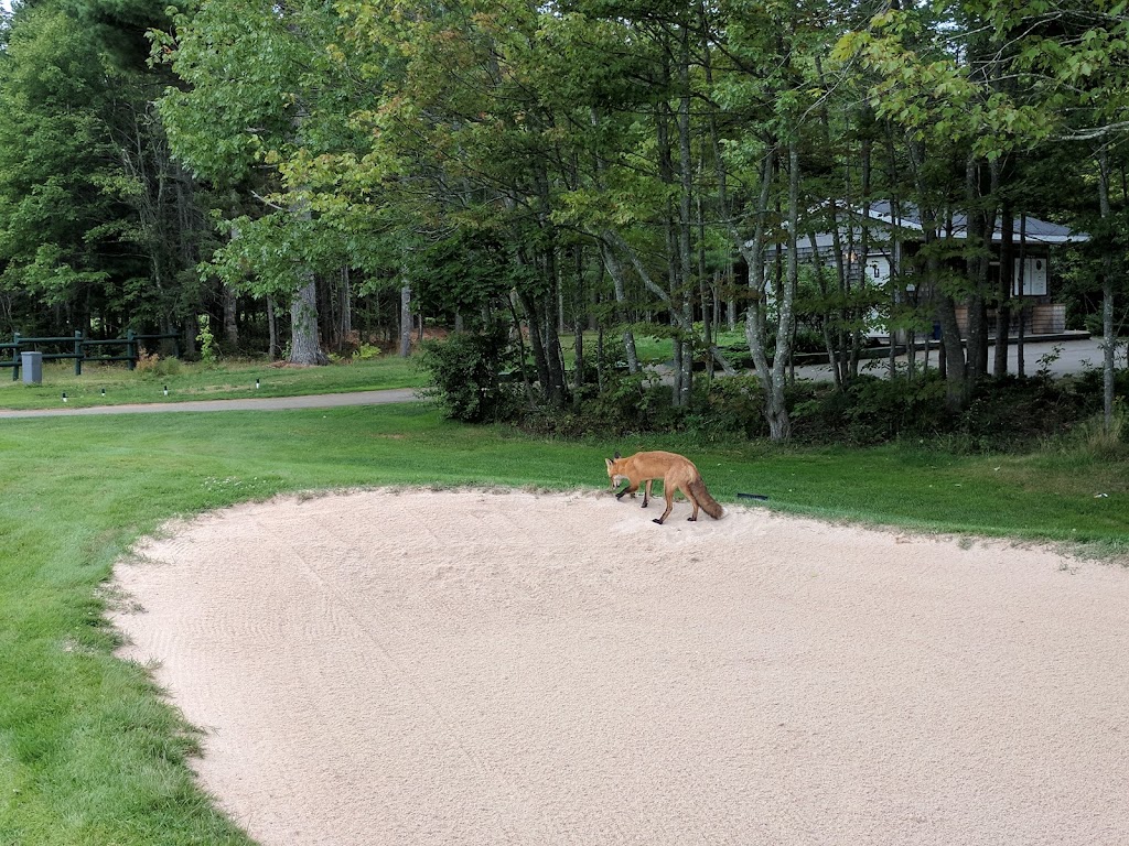 Dundarave Golf Course | 82 Dewars Lane Georgetown, N Royalty Rd, Cardigan, PE C0A 1G0, Canada | Phone: (800) 235-8909