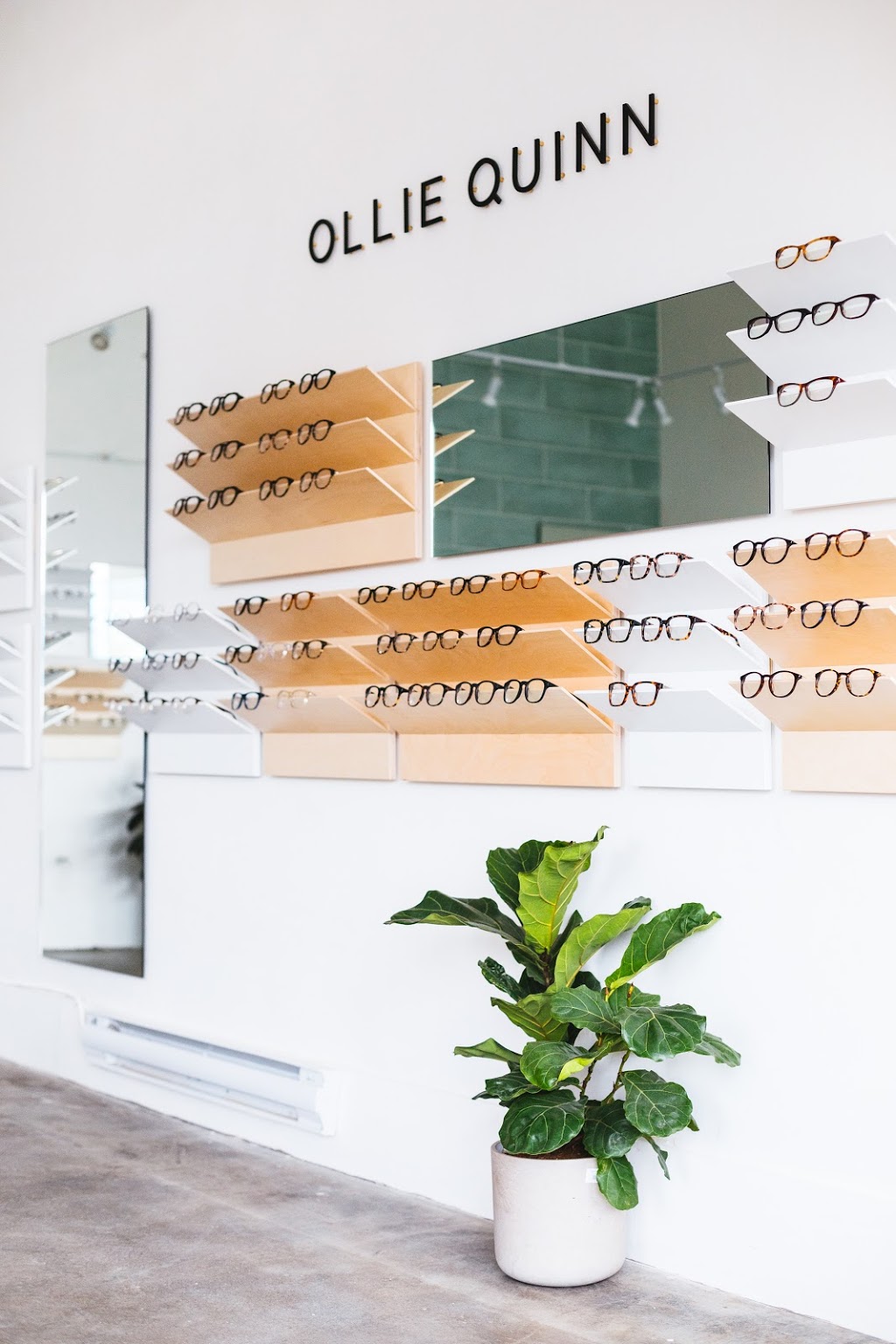 Ollie Quinn | 3795 Main St, Vancouver, BC V5V 1T7, Canada | Phone: (604) 336-7434