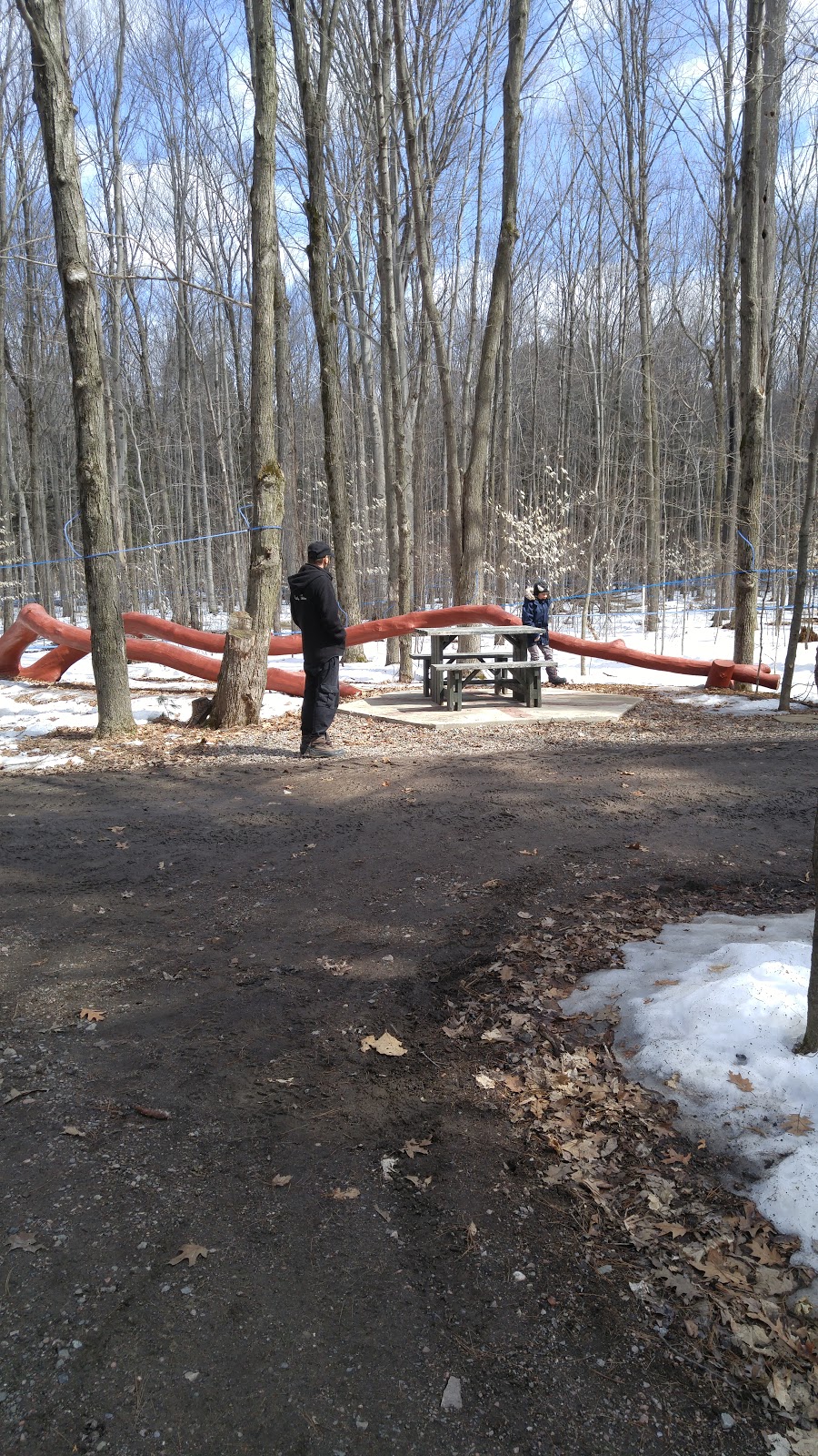Sucrerie Alary | 3242 QC-148, Luskville, QC J0X 2G0, Canada | Phone: (819) 455-2572