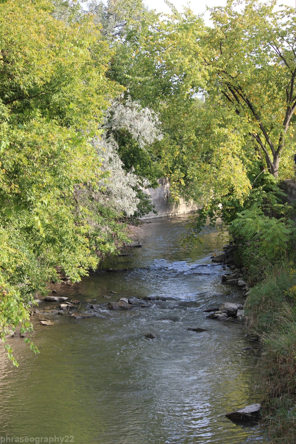 Mabel Davis Conservation Area | 120 Bayview Pkwy, Newmarket, ON L3Y 4X1, Canada | Phone: (905) 895-1281