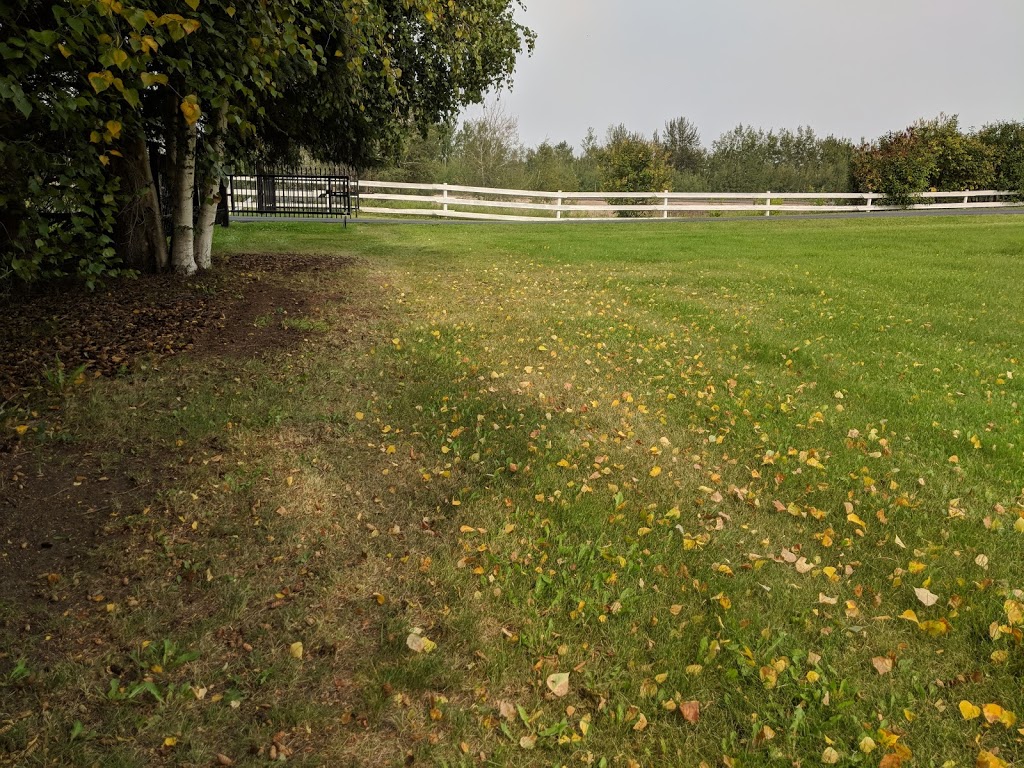 Kingdom Hall of Jehovahs Witnesses | 547 Range Rd 15, Spring Lake, AB T7Z 2T8, Canada