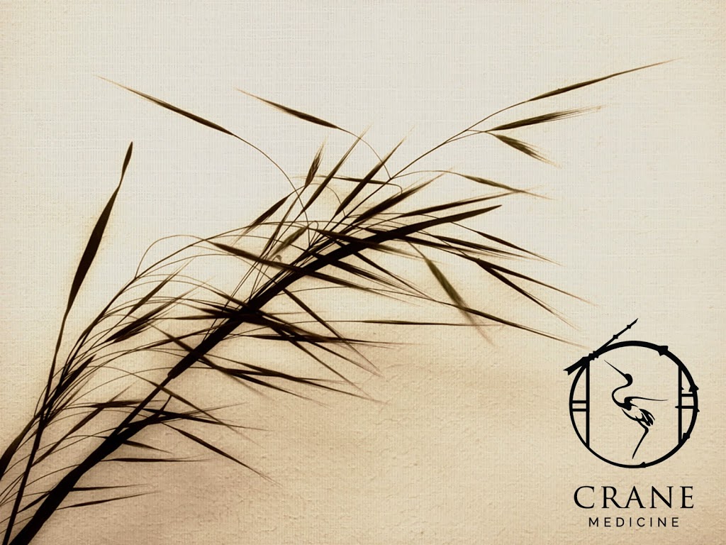 Crane Medicine | 275 Harris St, Ingersoll, ON N5C 1Y5, Canada | Phone: (519) 425-9897