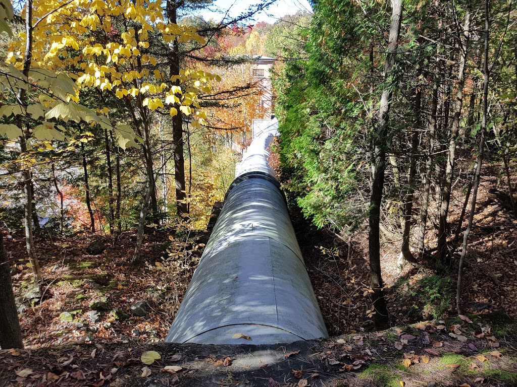 Les Sentiers de la Chute du Rocher Blanc | 167-175 Route du Pouvoir, Saint-Raphaël, QC G0R 4C0, Canada | Phone: (418) 243-2853