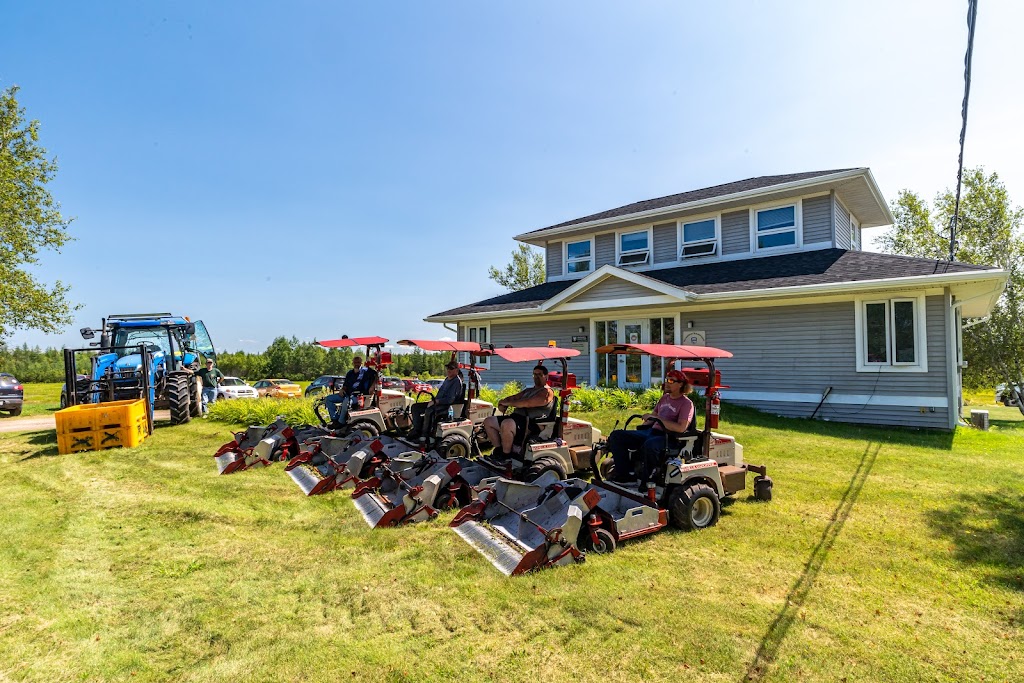 Pictou County Berry | 4951 Pictou Landing Rd, Trenton, NS B0K 1X0, Canada | Phone: (902) 396-8364