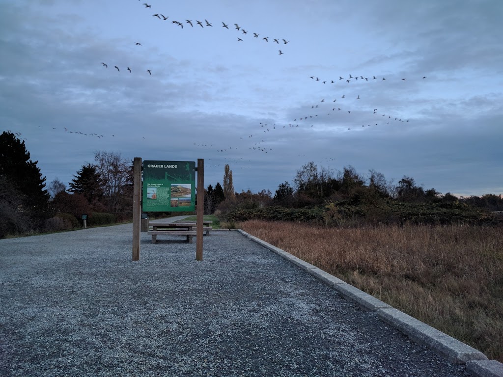Grauer Lands | Richmond, BC, Canada
