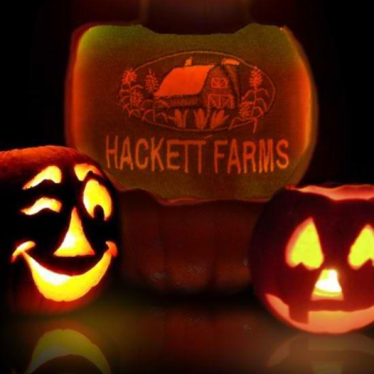 Hackett Farms | 203 Brockway Rd, Yale, MI 48097, USA | Phone: (810) 824-6931