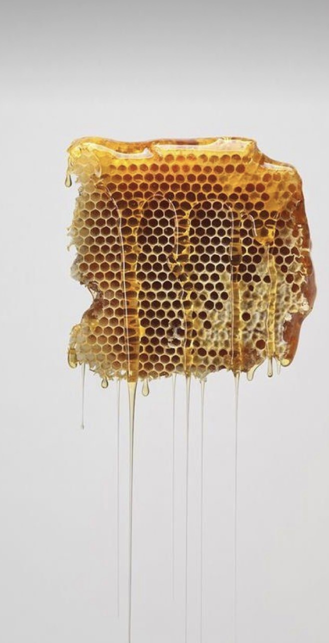 HONEY LASH COMPANY | 8057 168a St, Surrey, BC V4N 4Y6, Canada | Phone: (604) 970-9503
