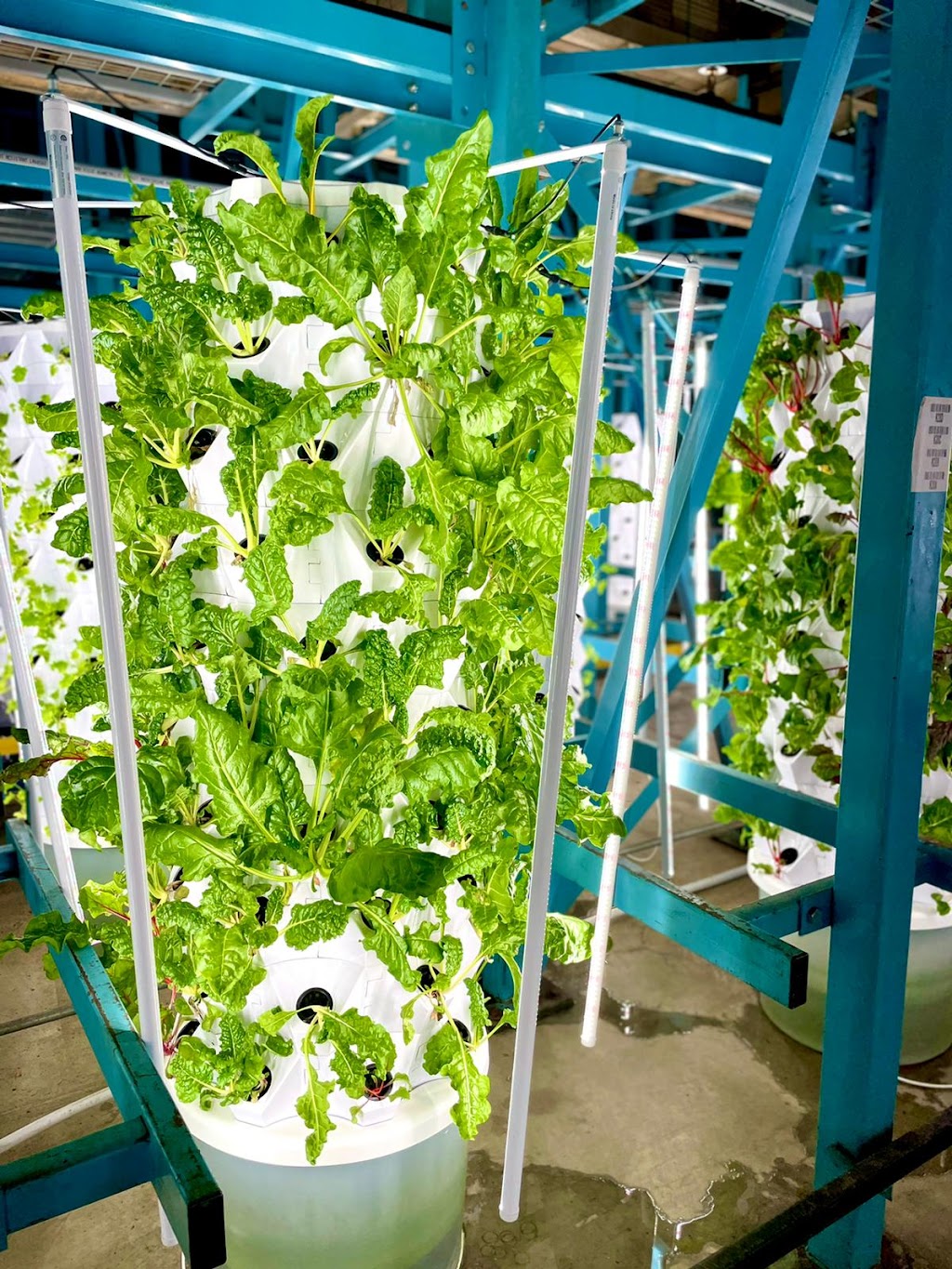 Farmia Agritech | 100 Kellogg Ln, London, ON N5W 2T5, Canada | Phone: (647) 990-0151