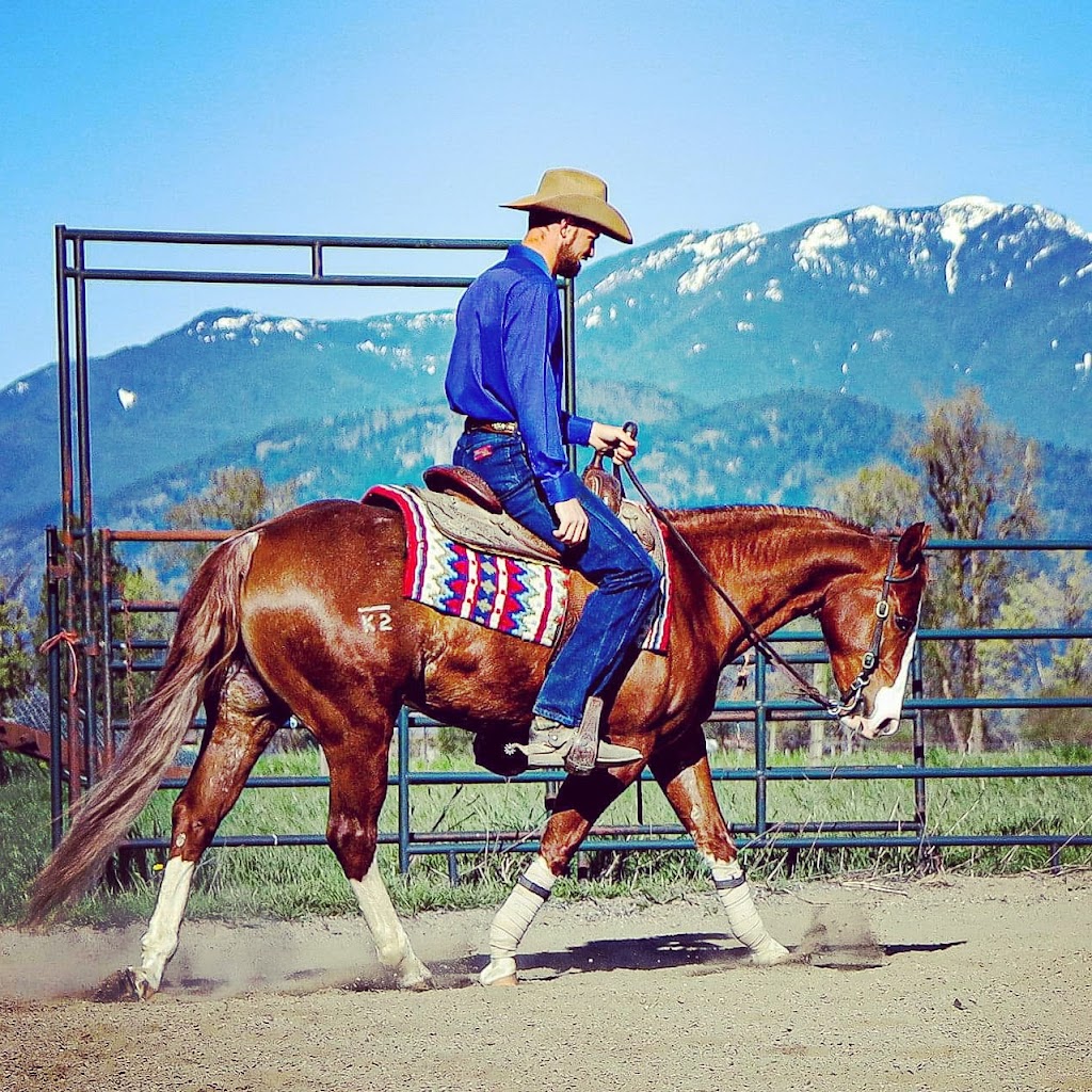 Jim Greendyk Performance Horses | 49815 Chilliwack Central Rd, Chilliwack, BC V2P 6H3, Canada | Phone: (604) 217-7700