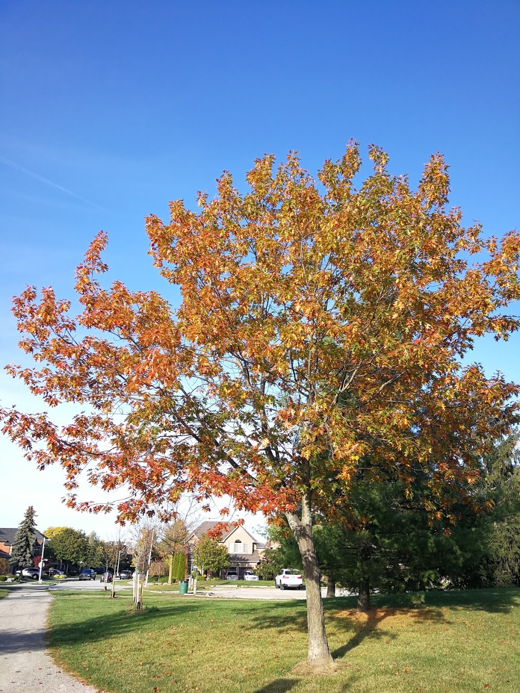 Langtry Park | 2186 Brays Ln, Oakville, ON L6M 3J7, Canada | Phone: 0000000