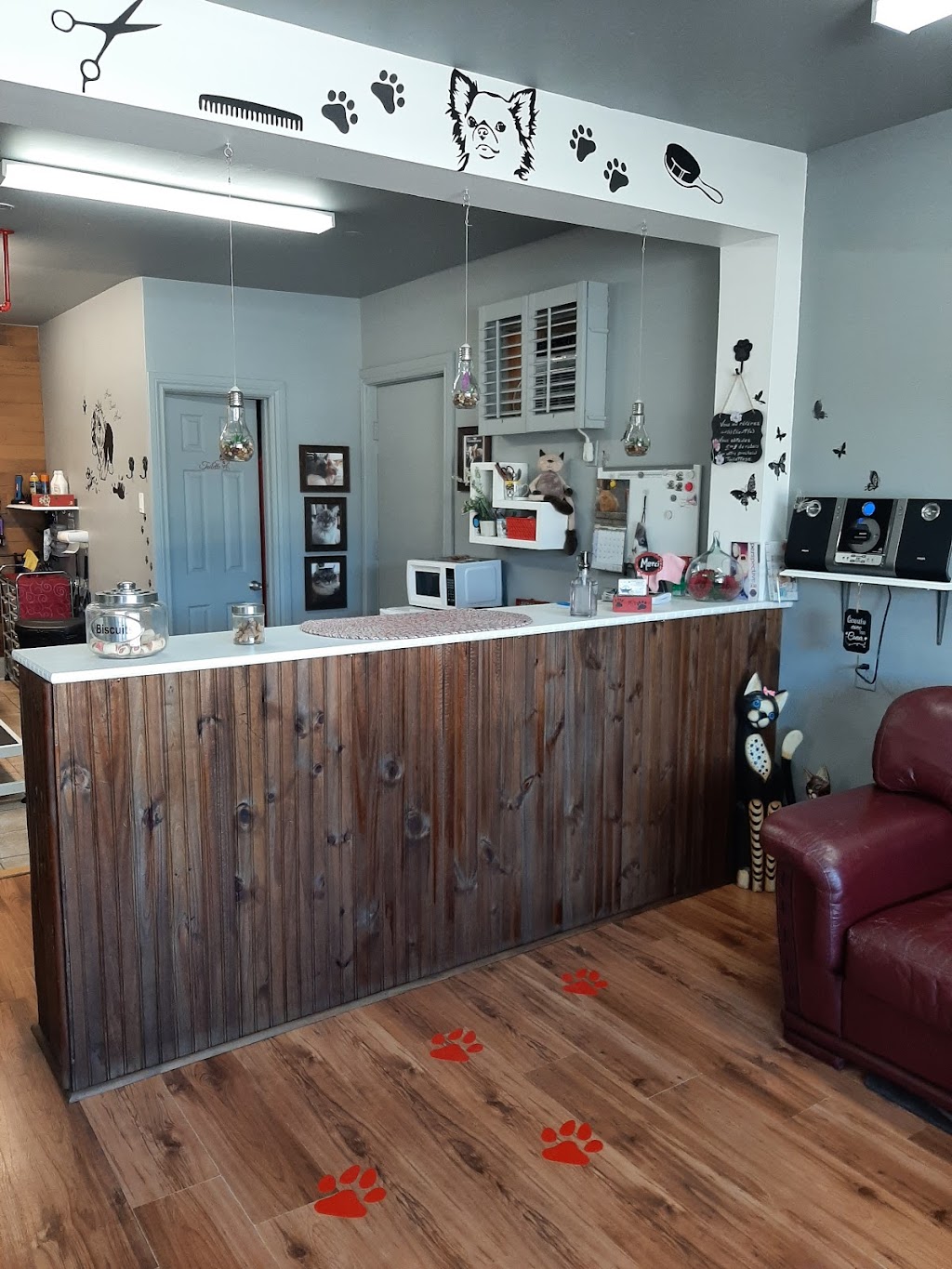 Salon toilettage Toutou Matou | 988 Rue Notre-Dame, Lavaltrie, QC J5T 1L9, Canada | Phone: (438) 884-4342
