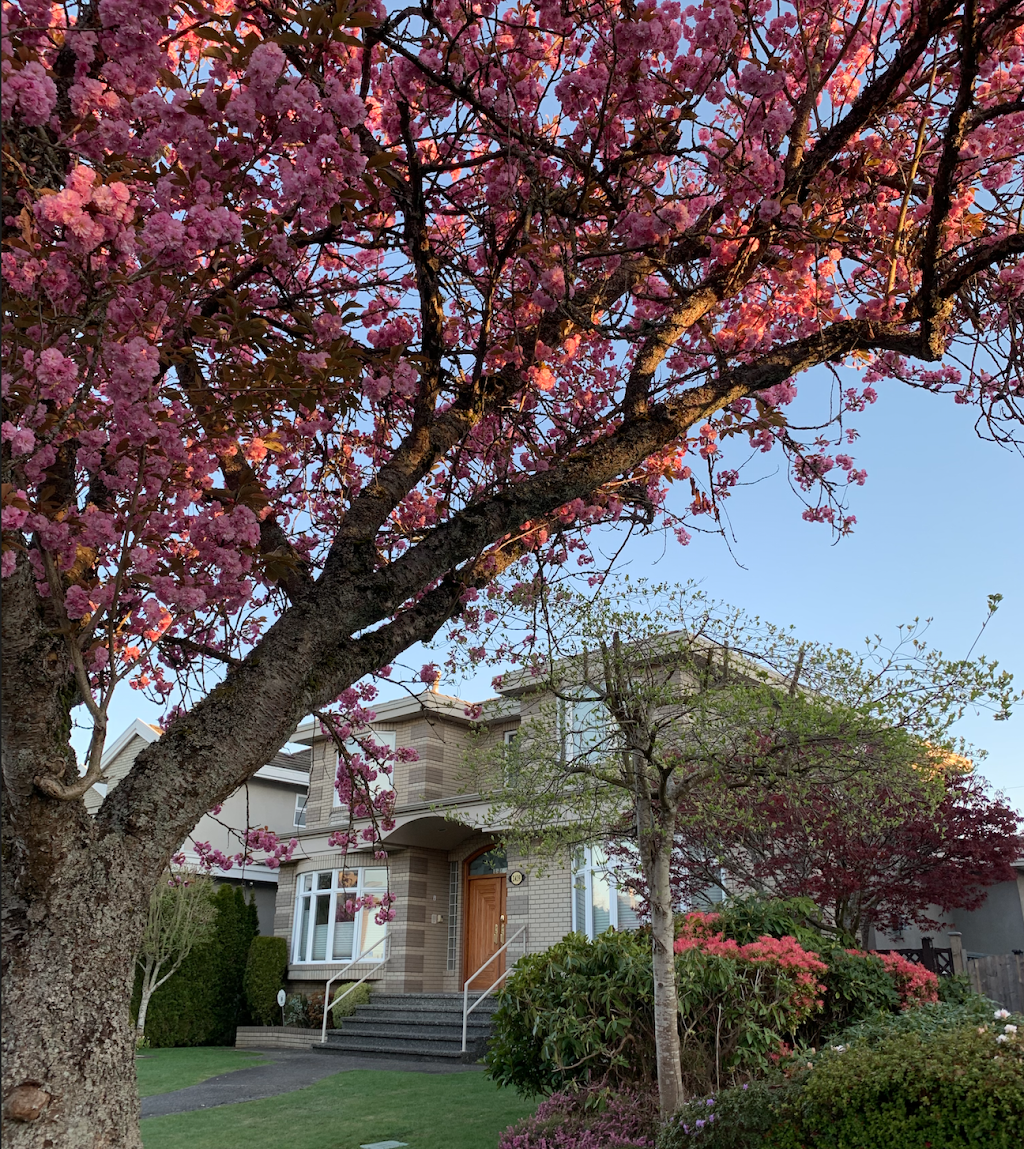 Lord Cooperation & Partnership | Oak St, Vancouver, BC V6M 2V5, Canada | Phone: (236) 788-8666