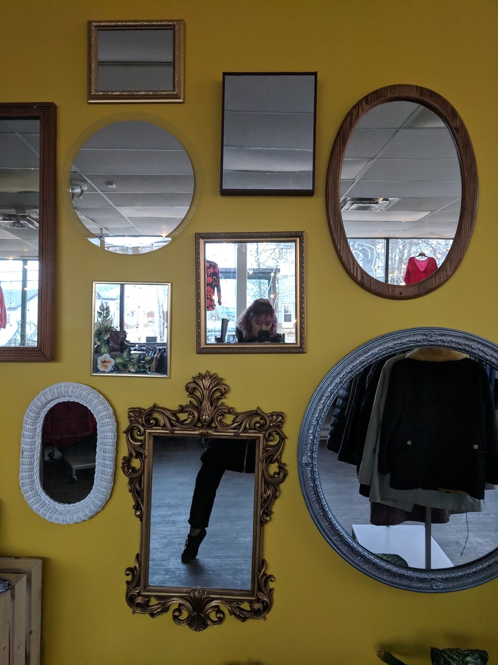 The Has Bin | 269 Windmill Rd, Dartmouth, NS B3A 1G5, Canada