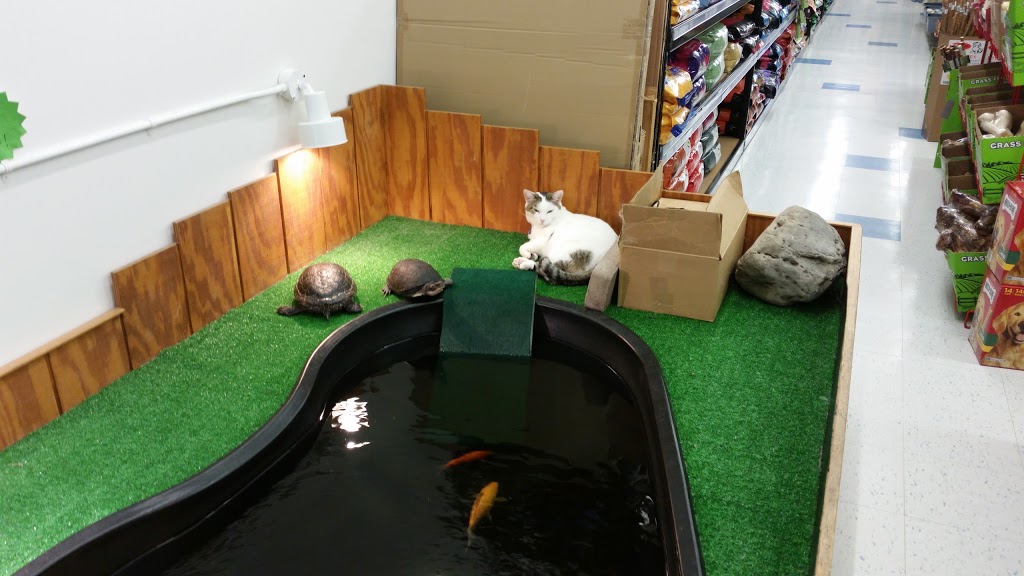 Classic Pet Supply | 34790 23 Mile Rd, Chesterfield, MI 48047, USA | Phone: (586) 648-6897