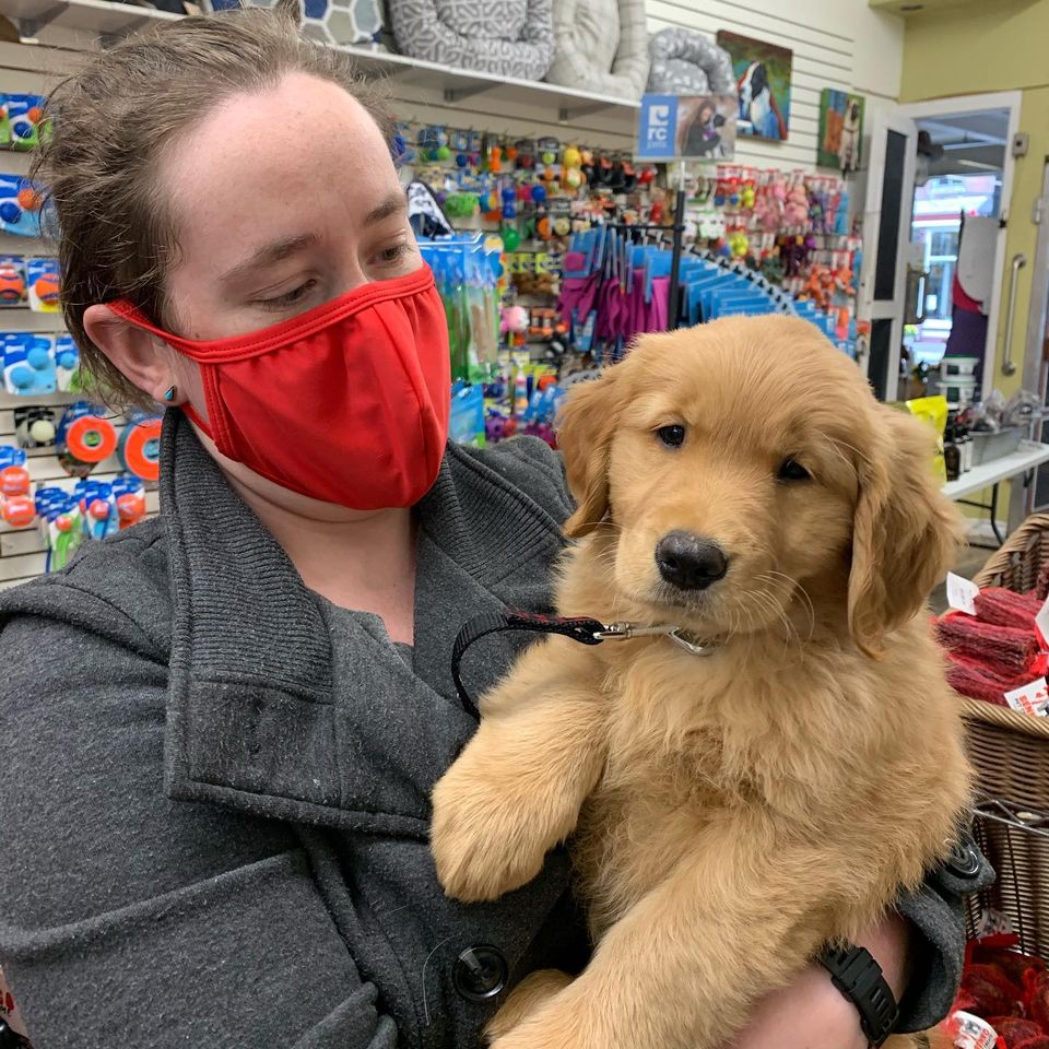 All Creatures Great & Small | 30 King St W, Cobourg, ON K9A 2L9, Canada | Phone: (905) 377-8619