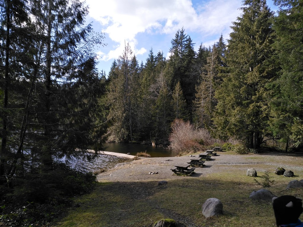 Lizard Lake Camp Ground | Site 18 Harris Main FSR Canada, Pacific Marine Rd, Port Renfrew, BC V0S, Canada | Phone: (250) 701-1976