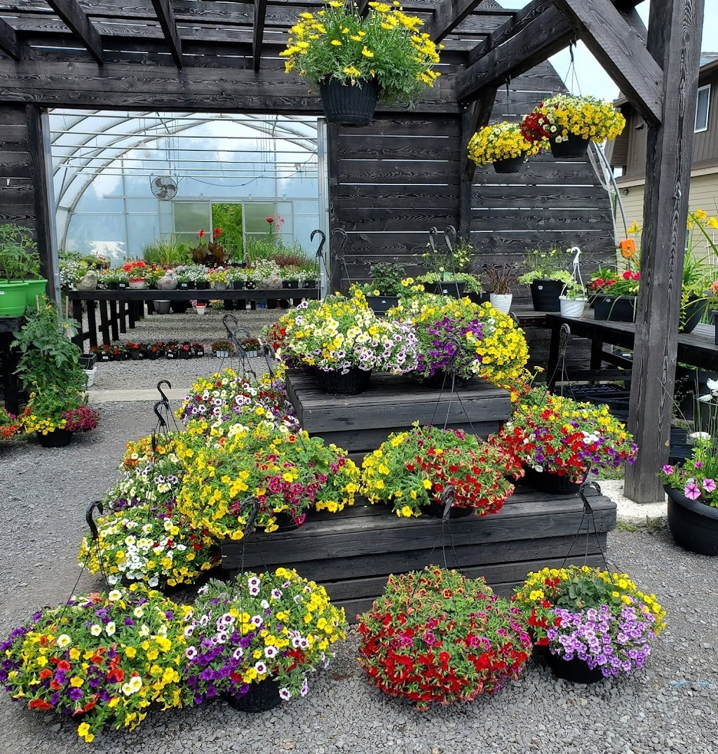 Centre jardin St-Donat | 1174 Rue Principale, Saint-Donat-de-Montcalm, QC J0T 2C0, Canada | Phone: (514) 823-0855