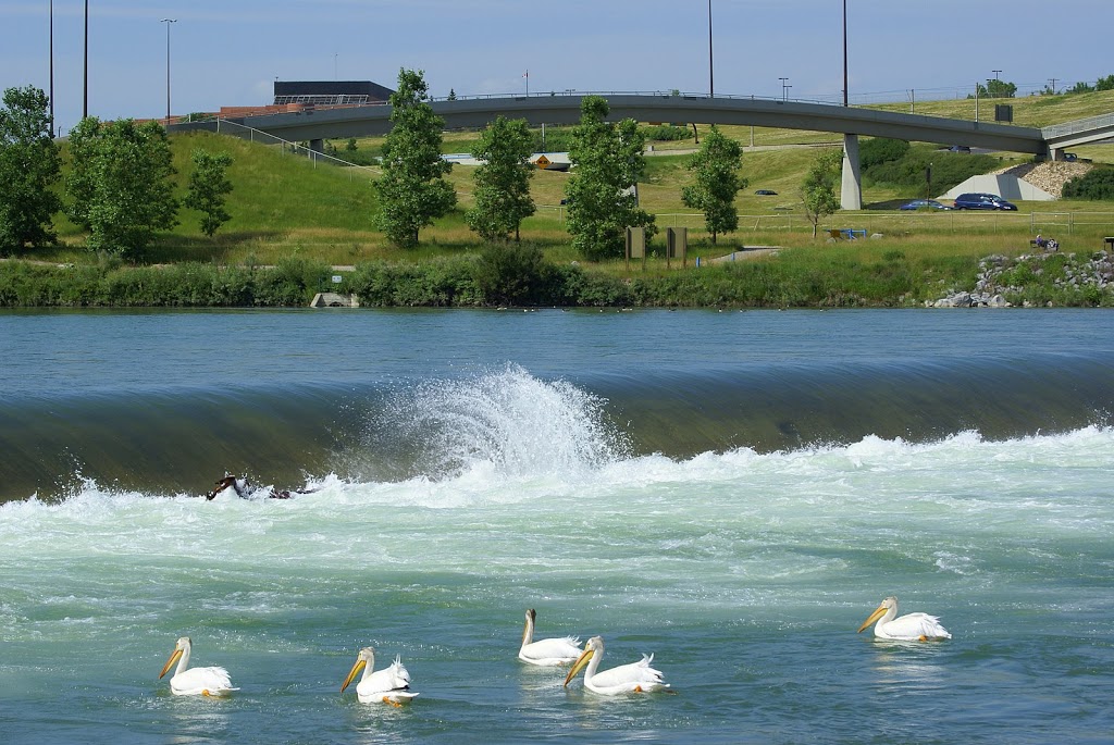 Pearce Estate Park | 1440 17a St SE, Calgary, AB T2G 4T9, Canada | Phone: (403) 268-2489