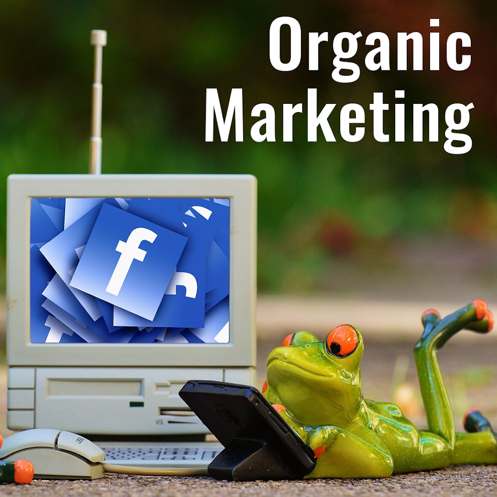 Seymour Digital Media | 1162 Maple Bay Rd, Duncan, BC V9L 5X1, Canada | Phone: (778) 228-3014