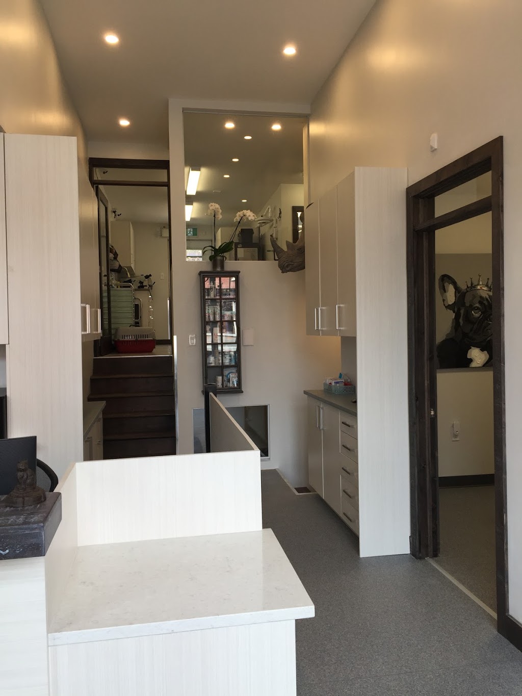 Clinique vétérinaire Bedford inc. | 31 Rue Principale, Bedford, QC J0J 1A0, Canada | Phone: (450) 248-0101