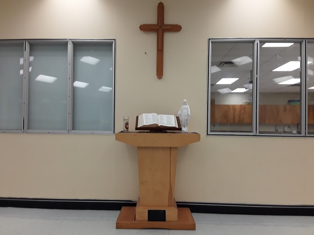 École élémentaire catholique Reine-des-Bois | 1450 Duford Dr, Orléans, ON K1E 1E6, Canada | Phone: (613) 744-8647