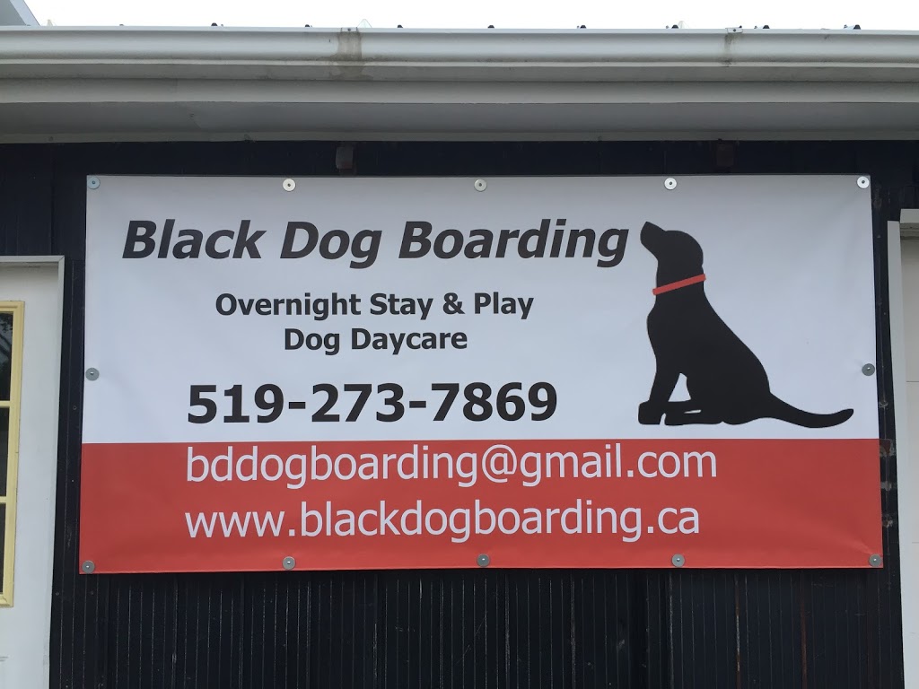 Black Dog Boarding | 2580 45 Line, Gads Hill, ON N0K 1J0, Canada | Phone: (519) 273-7869
